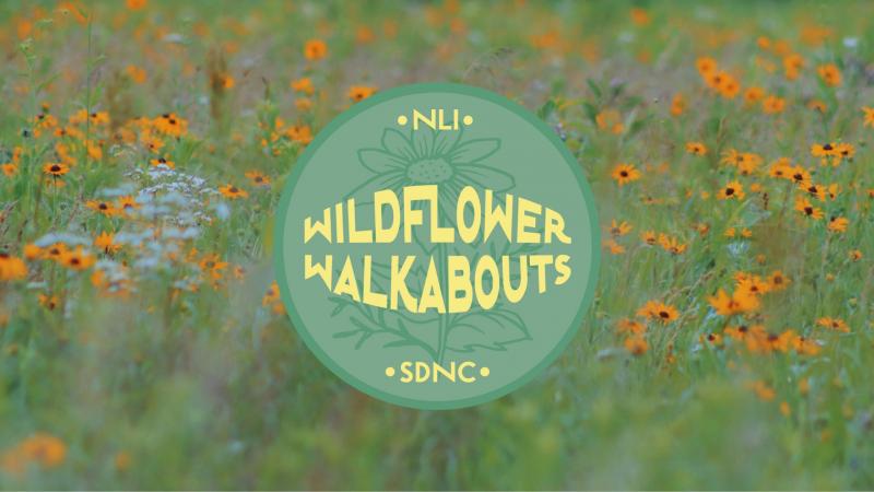 Wildflower Walkabout- Sewell Conservation Area