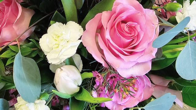 Favorite Local Flower Shop