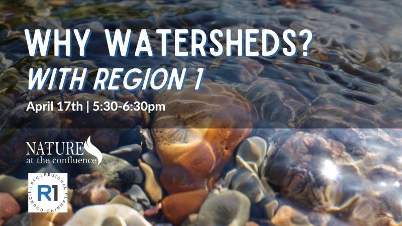 Why Watersheds with Region 1