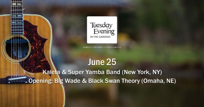 Tuesday Evening in the Gardens - Kaleta & Super Yamba Band | Big Wade & Black Swan Theory