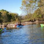 Paddle Trip: Turtle Creek