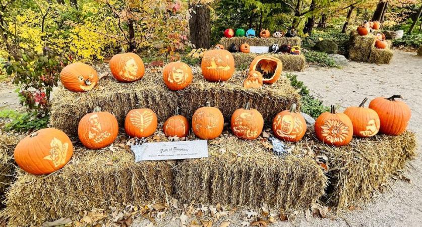 The Path of Pumpkins