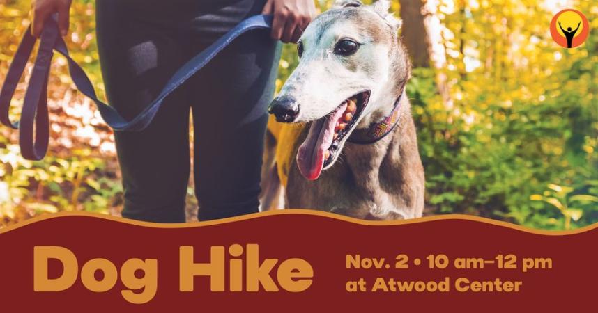 Fall Dog Hike