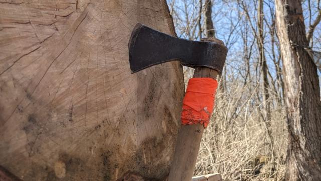 In the Outdoors: Weekend Warrior