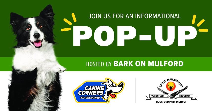 Goose Management & Canine Corners Pop-Up Event
