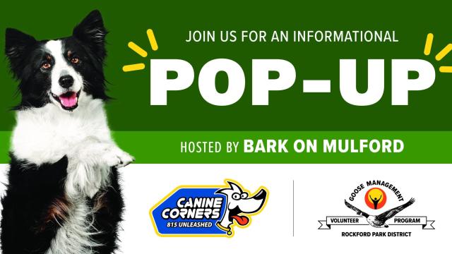 Goose Management & Canine Corners Pop-Up Event