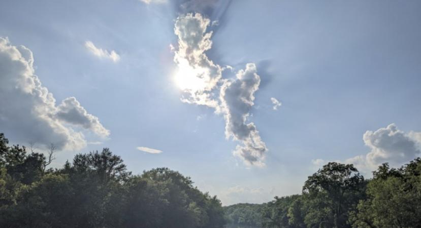 In the Outdoors: Solstice Stroll