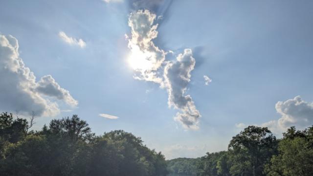 In the Outdoors: Solstice Stroll
