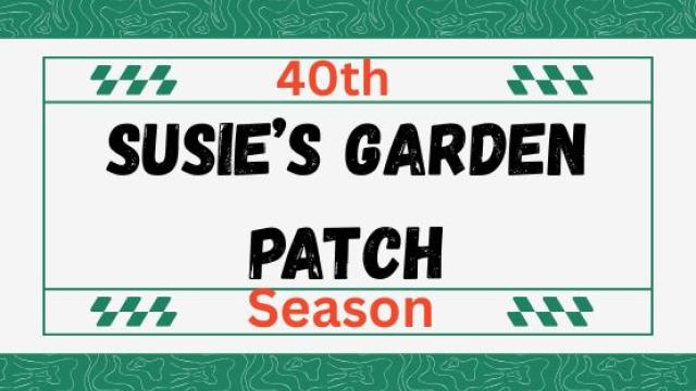 Susie's Garden Patch 