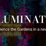 ILLUMINATED