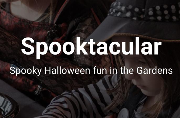 Spooktacular