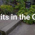 Portraits in the garden
