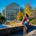 🍁 Fall in Rockford: Best Places to Go This Month!