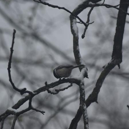 In the Outdoors: Cozy Creations!