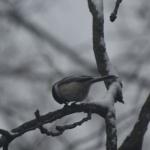 In the Outdoors: Cozy Creations!