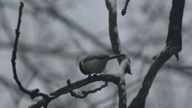 In the Outdoors: Cozy Creations!