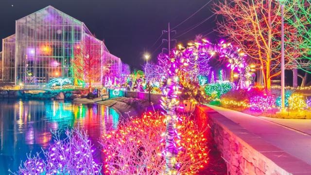 All Aglow Holiday Display