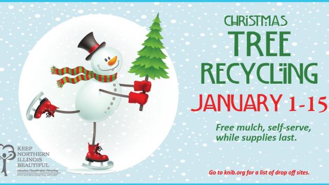 Christmas Tree Recycling