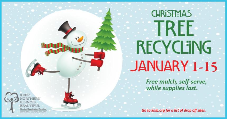 Christmas Tree Recycling