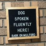 Bark on Mulford