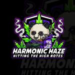 Harmonic Haze