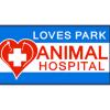Animal Hospital of Loves Park