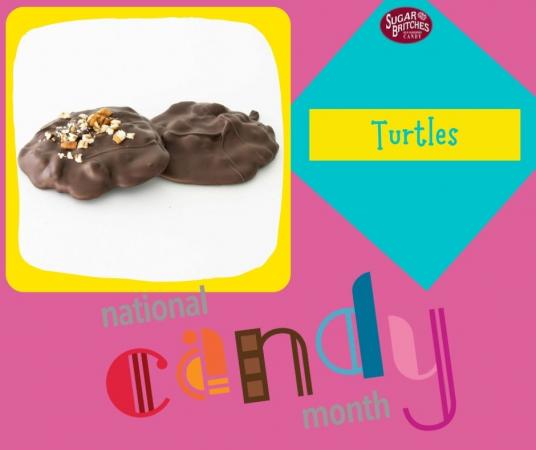 Turtles ( National Candy Month )