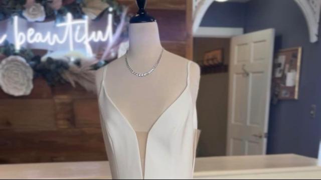 Welcome Andria Bird to Hi Beautiful!