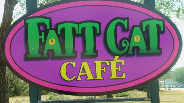Fatt Cat Cafe