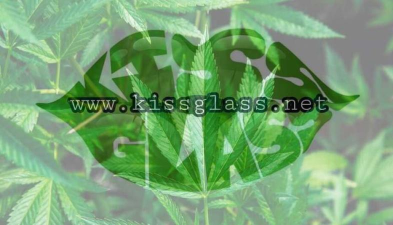 We Invite You to Join Our Online Group by Kiss Glass