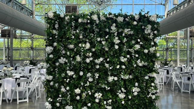 Amazing Wedding Backdrop! 