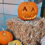 Main Street Trick-or-Treat in Rockton, Huge Turn Out!