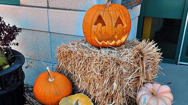 Main Street Trick-or-Treat in Rockton, Huge Turn Out!