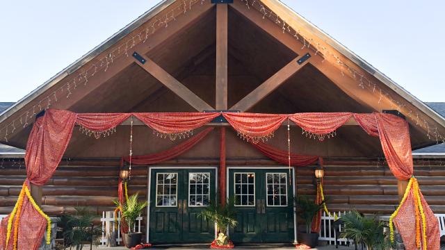 Williams Tree Farm: A Timeless Tradition of Holiday Memories