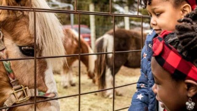 Discover Winter Magic in Beloit! 