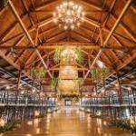 Save on Friday and Sunday Weddings