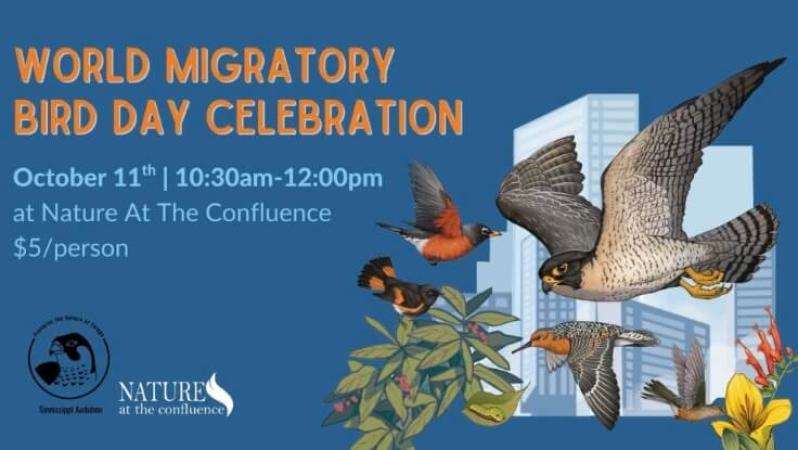 World Migratory Bird Day Celebration
