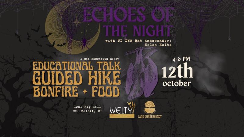 Echoes of the Night