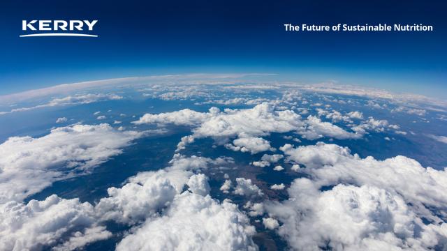  Kerry Taste & Nutrition